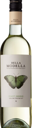 Bella Modella, Pinot Grigio, Colline Teatine IGT,