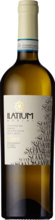 ILatium Morini, Soave DOC