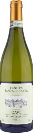 Gavi